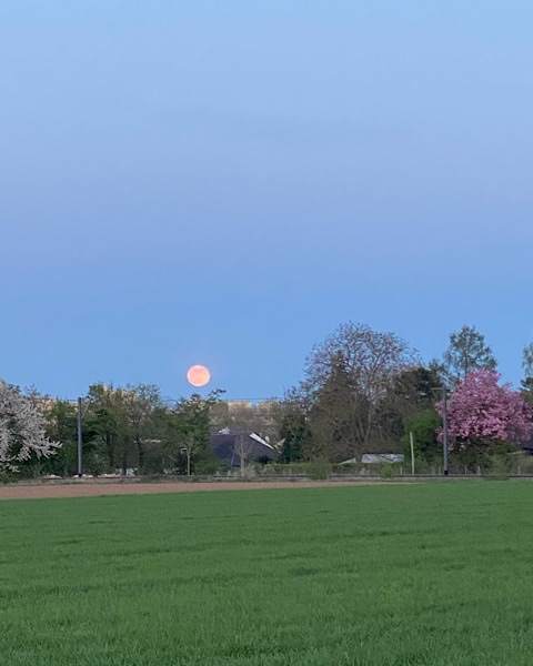 Vollmond leuchtet über Feld. Bäumen und Häusern