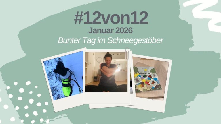 Mein 12 von 12 im Januar 2026: Bunter Tag im Schneegestöber